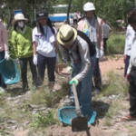 炎天下の中の作業です