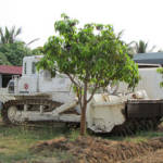 日本のNGOの支援による