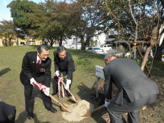 OLYMPUS DIGITAL CAMERA